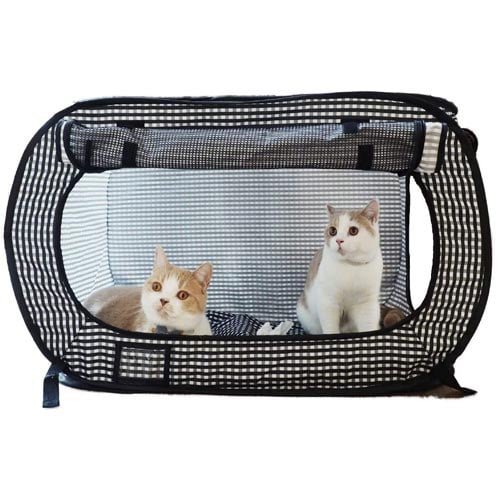 Best cat carrier for cross best sale country trip